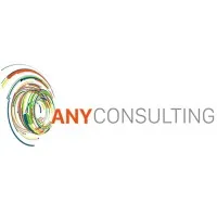 Any Consulting Any Consulting