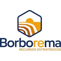 Borborema Recursos Estratégicos