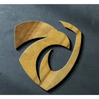 FIRST CALL SAFETY & SECURITY LTD