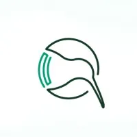 Kivi Technologies