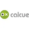 Calcue info services Private Ltd Calcue info services Private Ltd
