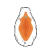 Papaya Papaya