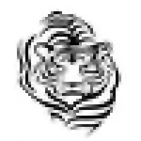 Oxin Energy Group (OEG) Oxin Energy Group (OEG)