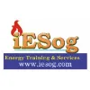 INTEGRATED ELVEE SERVICES LTD INTEGRATED ELVEE SERVICES LTD