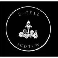 E-cell, IGDTUW