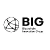 Blockchain Innovation Group AG Blockchain Innovation Group AG