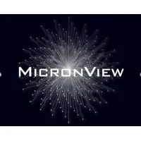 MicronView LLC