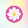 daisyBill daisyBill