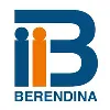 Berendina Micro Investments Company Limited