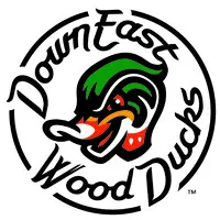 Down East Wood Ducks