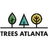 Trees Atlanta Trees Atlanta