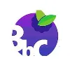 Blueberry Consulting Blueberry Consulting