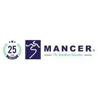 Mancer Consulting Services