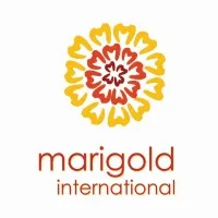Marigold International LLC Marigold International LLC