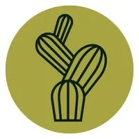 Cactus Food Group