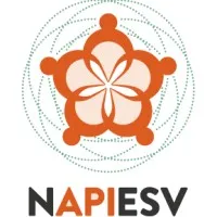 National Organization of Asians & Pacific Islanders Ending Sexual Violence (NAPIESV) National Organization of Asians & Pacific Islanders Ending Sexual Violence (NAPIESV)