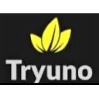 Tryuno Soluções Empresariais