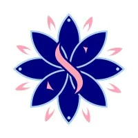 Synergist Accounting