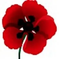 Tall Poppy Consulting Tall Poppy Consulting