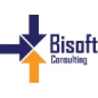 BISOFT-CONSULTING