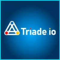 Triade LLC Triade LLC