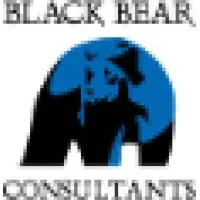 Black Bear Consultants