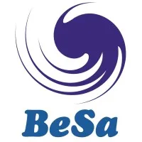 Beltran Saldivar Consulting