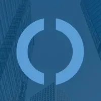 Vision Search Partners LLC