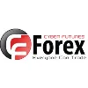 CF Forex CF Forex