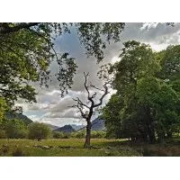 Photostudy