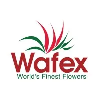 Wafex USA