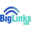 BIGLINKS