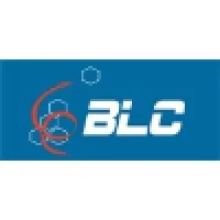 Botom Line Consulting