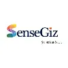 SenseGiz Technologies SenseGiz Technologies