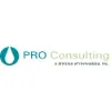 PRO Consulting PRO Consulting