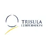 Trisula Corporation Trisula Corporation