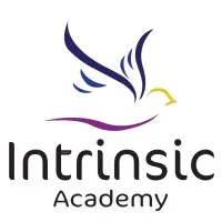 Intrinsic Academy