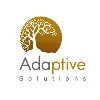 Adaptive Solutions Adaptive Solutions