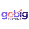 GoBIG Systems