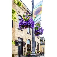 Loucks & Loucks, Barristers and Solicitors 