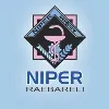 National Institute of Pharmaceutical Education and Research Raebareli National Institute of Pharmaceutical Education and Research Raebareli