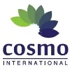 COSMO International Group
