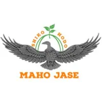 Maho Jase IT