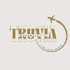 TruVia Consultants