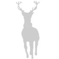 Silverlight Research Co