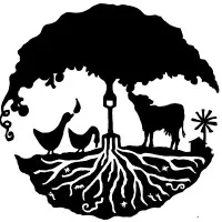 Learning from Nature Learning from Nature