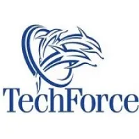 TechForce LLC