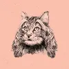 Hyperballad Music Hyperballad Music