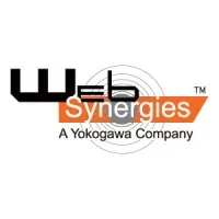 Web Synergies
