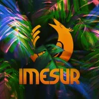 IMESUR